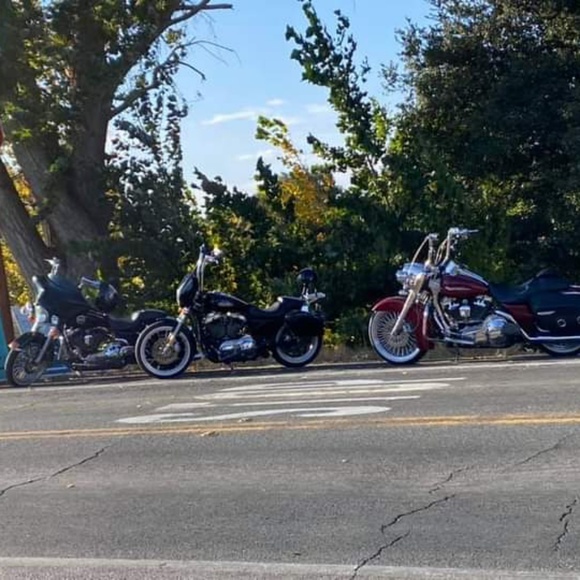 Meet your Posher, Rhonda - Picture 1 of 1